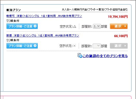 ANA-Tour-3
